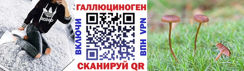 Галлюциногенные грибы Magic Shrooms  закладки  Мирный 