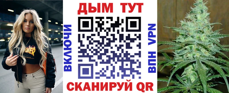 Конопля сатива  Мирный 